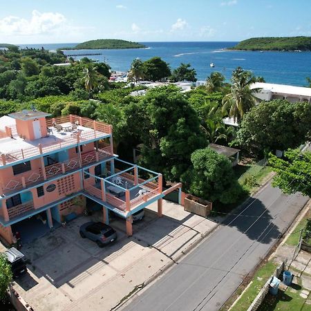 Esperanza Inn Guesthouse (Adults Only) Vieques Bagian luar foto