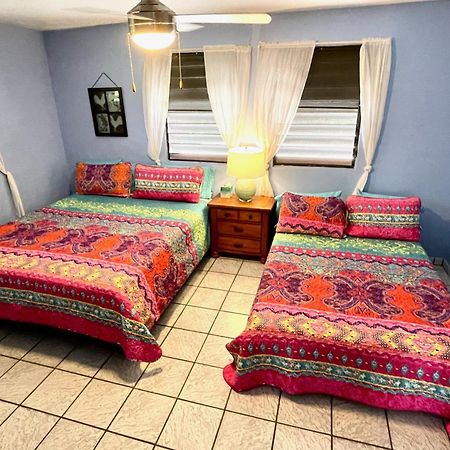 Esperanza Inn Guesthouse (Adults Only) Vieques Ruang foto