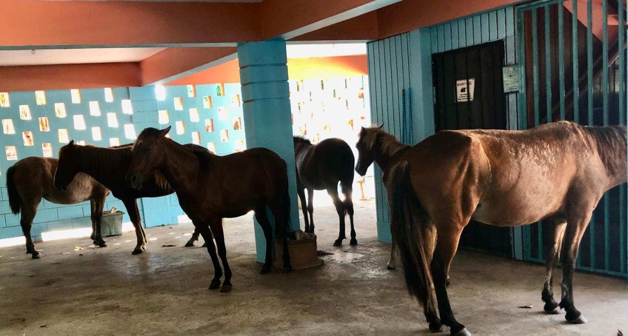 Esperanza Inn Guesthouse (Adults Only) Vieques Bagian luar foto