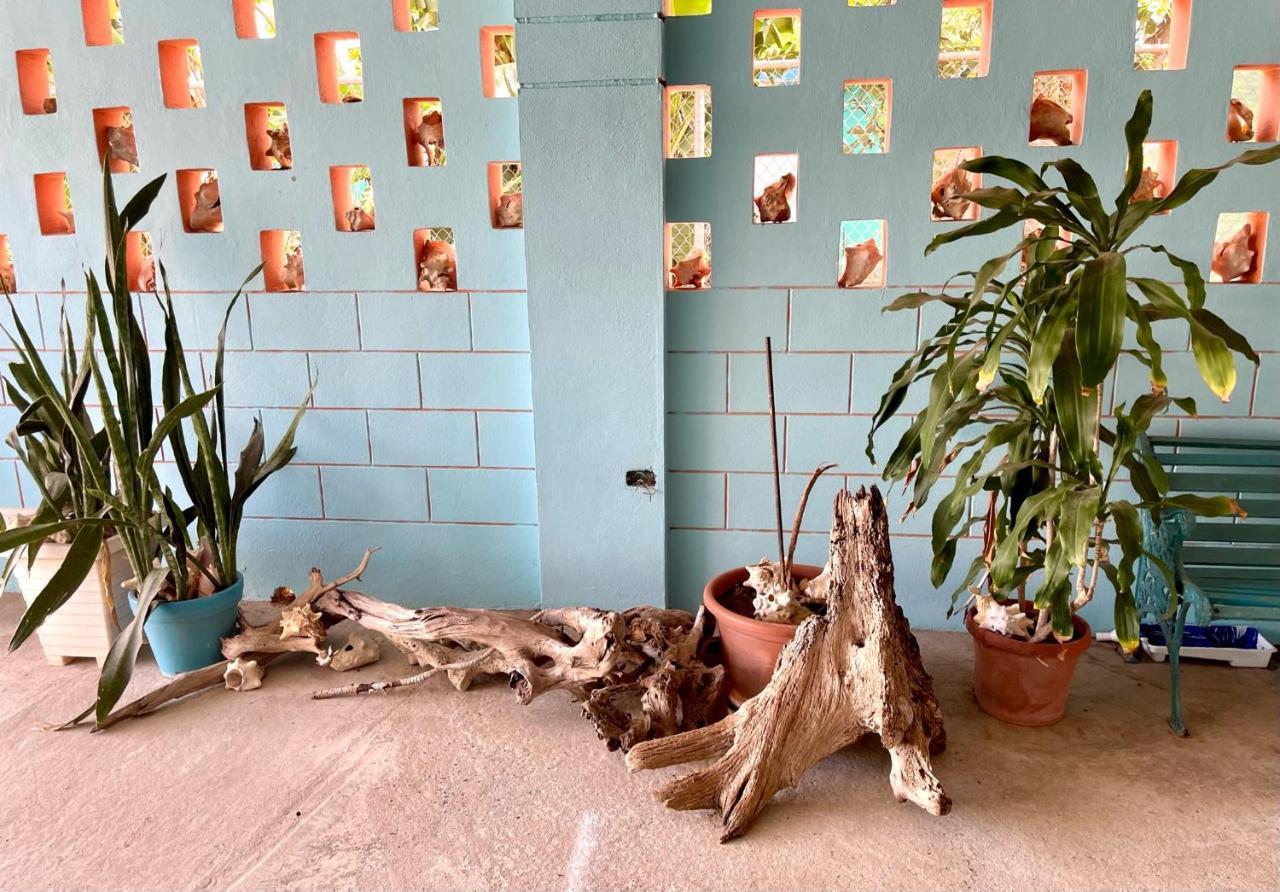 Esperanza Inn Guesthouse (Adults Only) Vieques Bagian luar foto