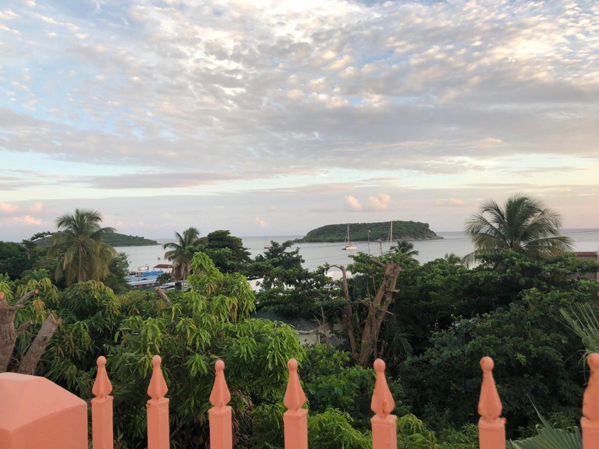 Esperanza Inn Guesthouse (Adults Only) Vieques Bagian luar foto