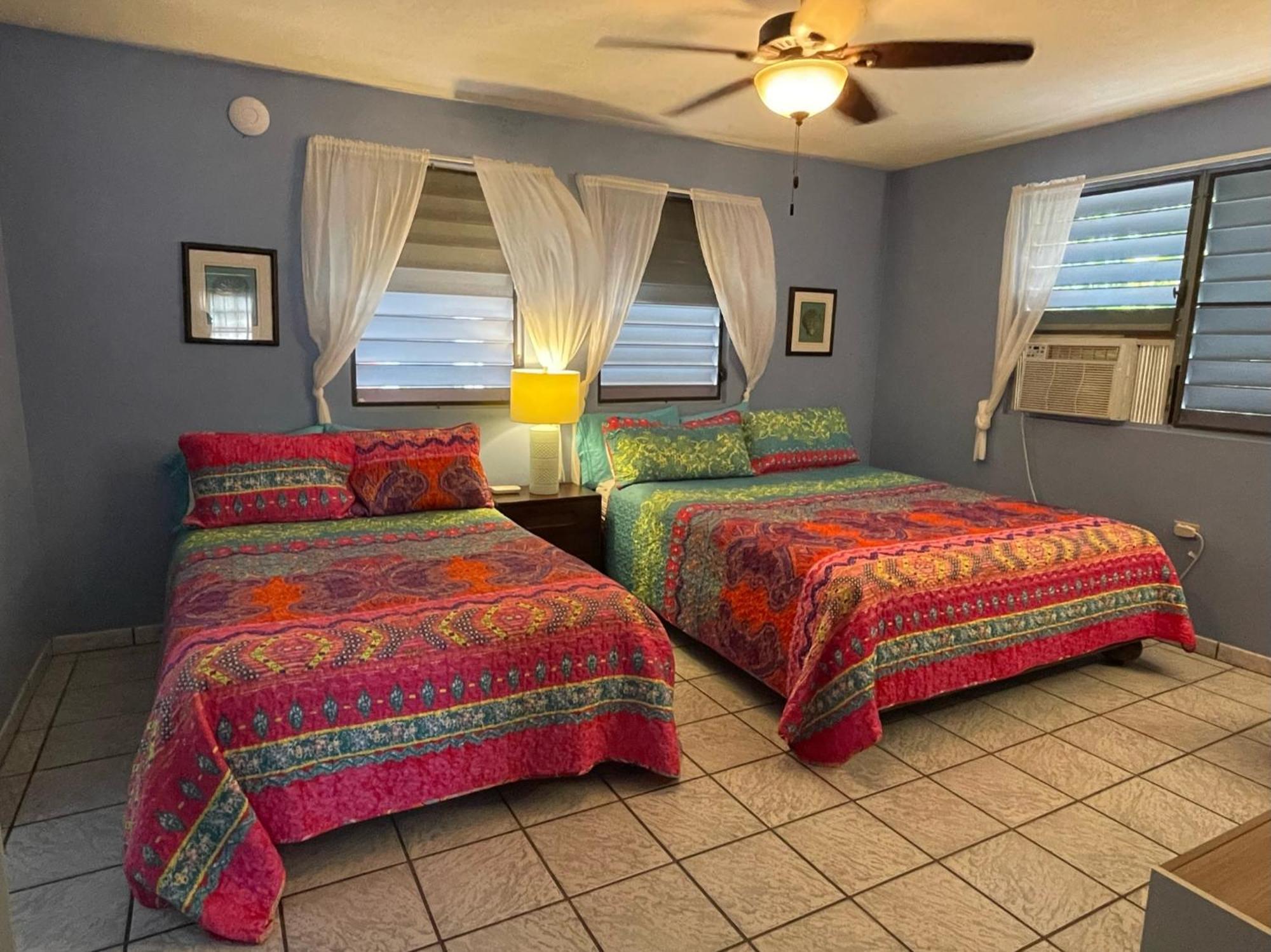 Esperanza Inn Guesthouse (Adults Only) Vieques Ruang foto