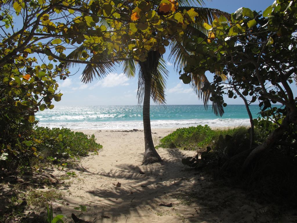 Esperanza Inn Guesthouse (Adults Only) Vieques Bagian luar foto