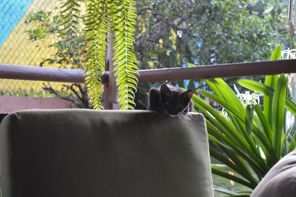 Esperanza Inn Guesthouse (Adults Only) Vieques Bagian luar foto
