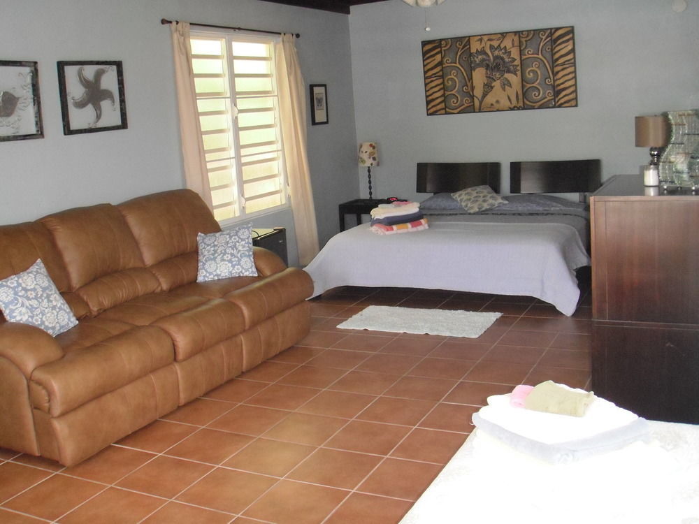 Esperanza Inn Guesthouse (Adults Only) Vieques Bagian luar foto